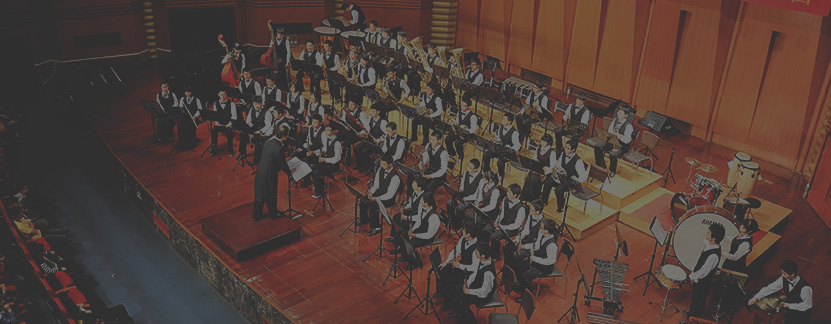 Irish mandolin music